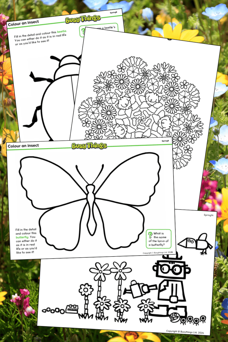 Spring colouring pages for kids with flowers and nature designs