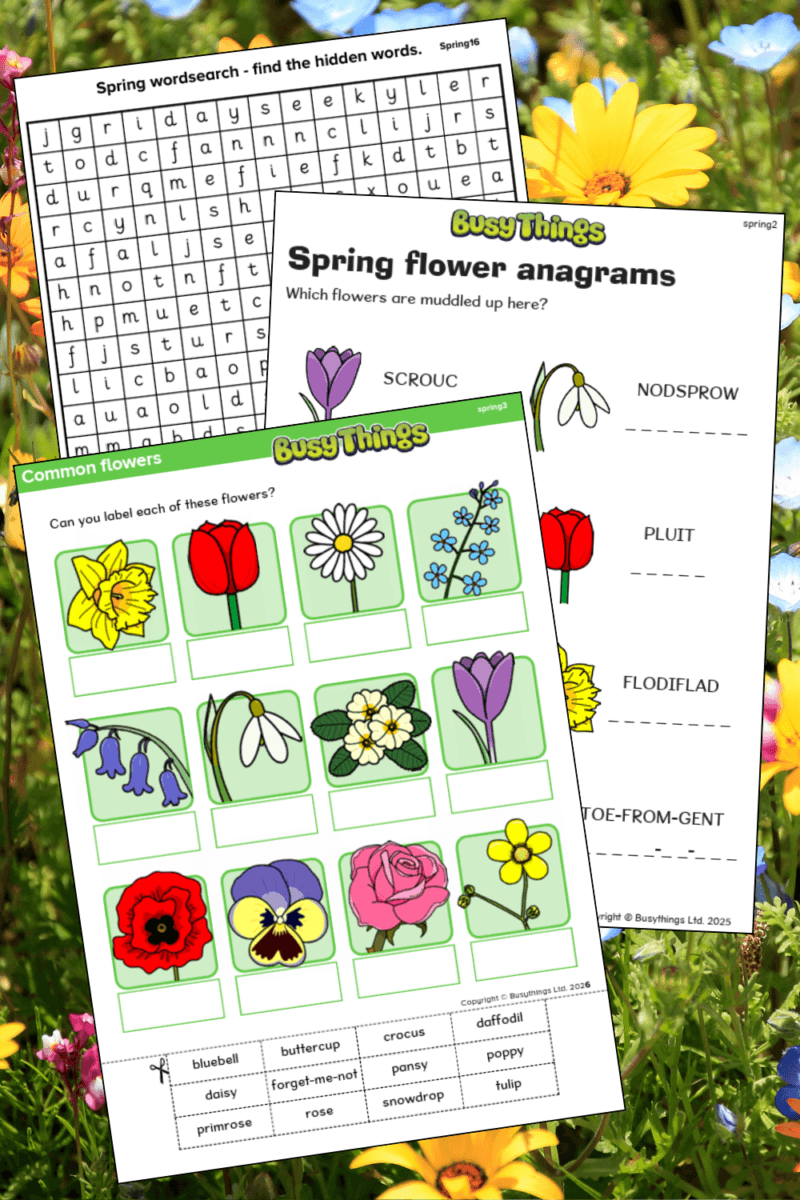 Spring word puzzles and flower anagram worksheet for children