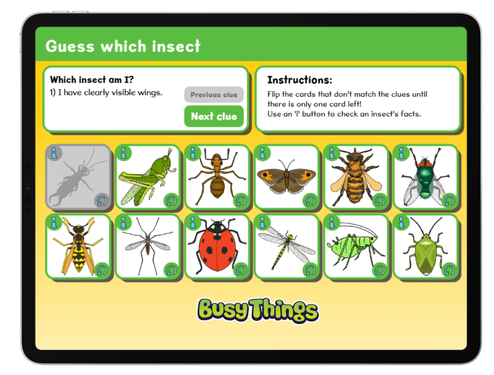 Insect guessing game for kids using clues to identify different minibeasts
