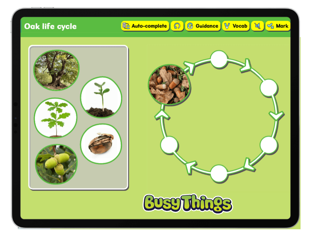 Interactive life cycle activity for kids arranging stages of animal and plant development in order