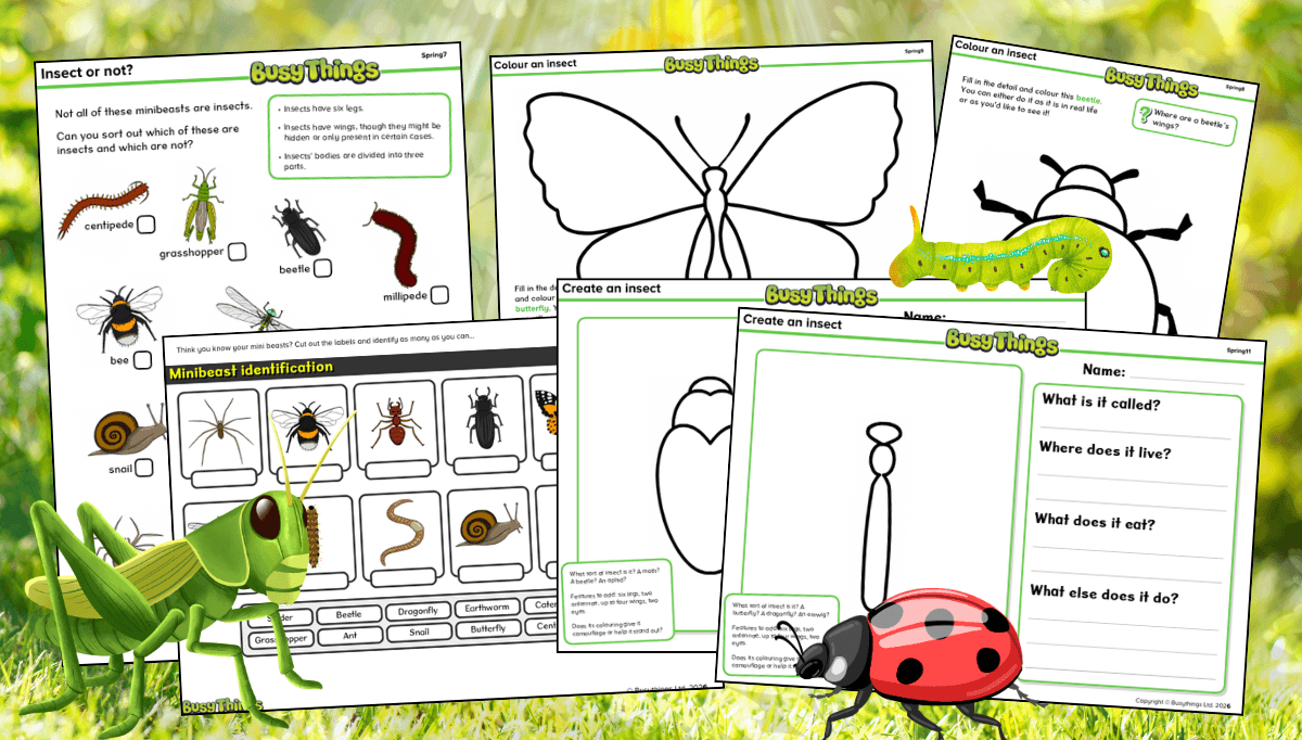 Minibeast worksheets for kids including insect identification and creative insect design activity