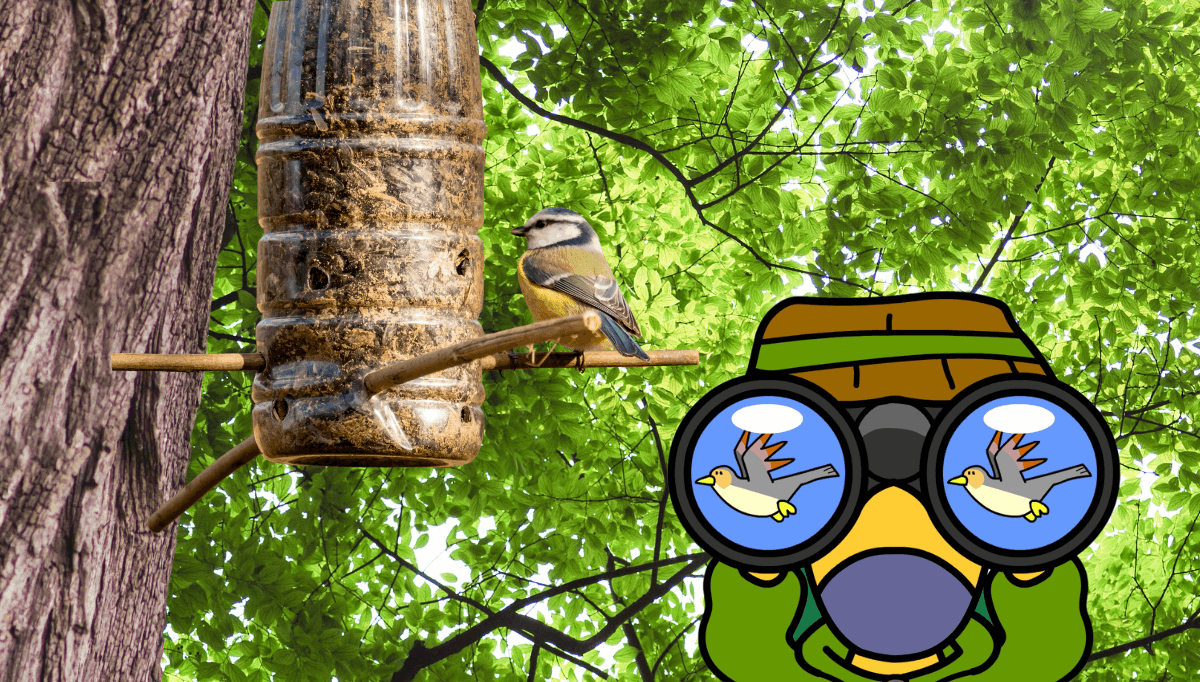 Homemade bird feeder made from a toilet roll and seeds – easy summer nature craft for kids