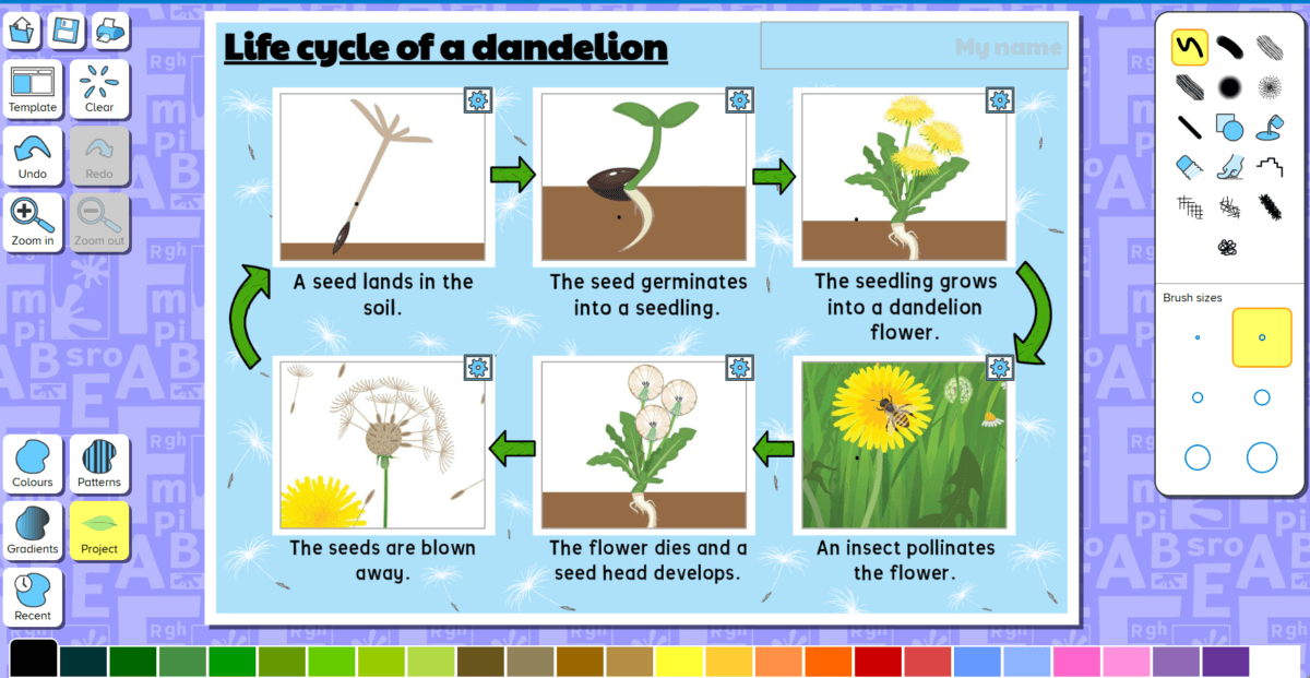 Screenshot of the Life cycle of a dandelion activity
