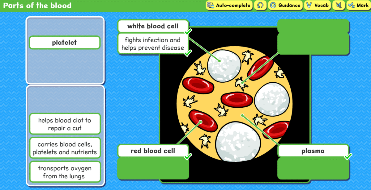 Parts of the blood activity screenshot
