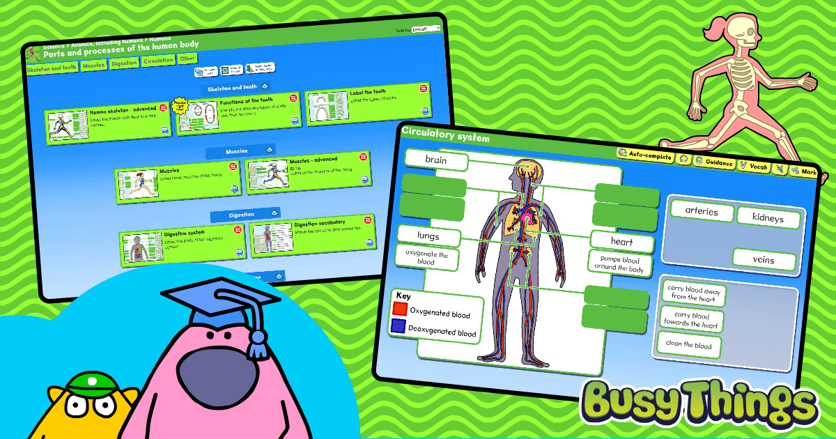 Human body activities blog image