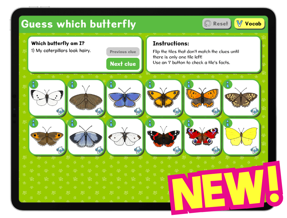 Guess Which Butterfly logic game on Busy Things