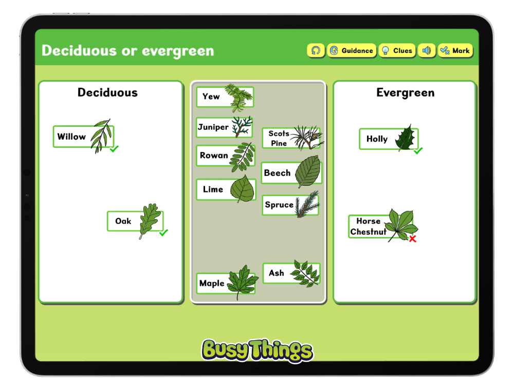Busy Things educational game where children identify and sort deciduous and evergreen trees.