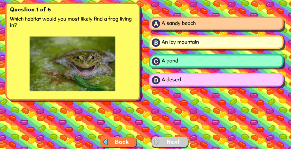 Habitats quiz - a personalised classroom activity based on what the children have just learnt
